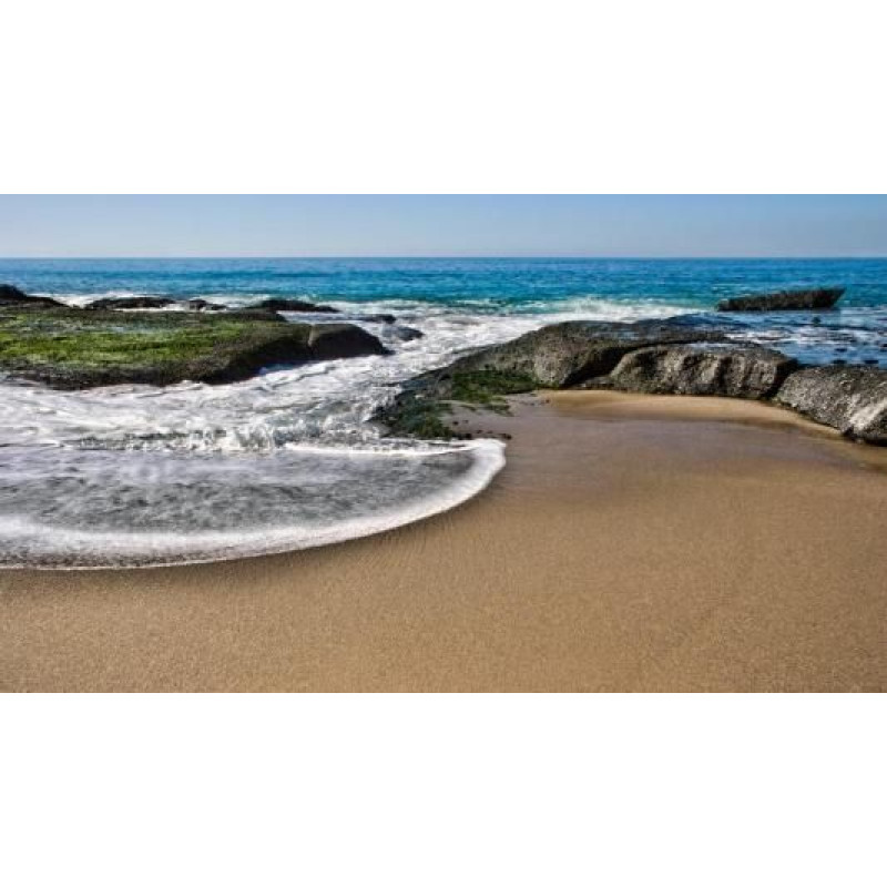 Search results for: 'N'